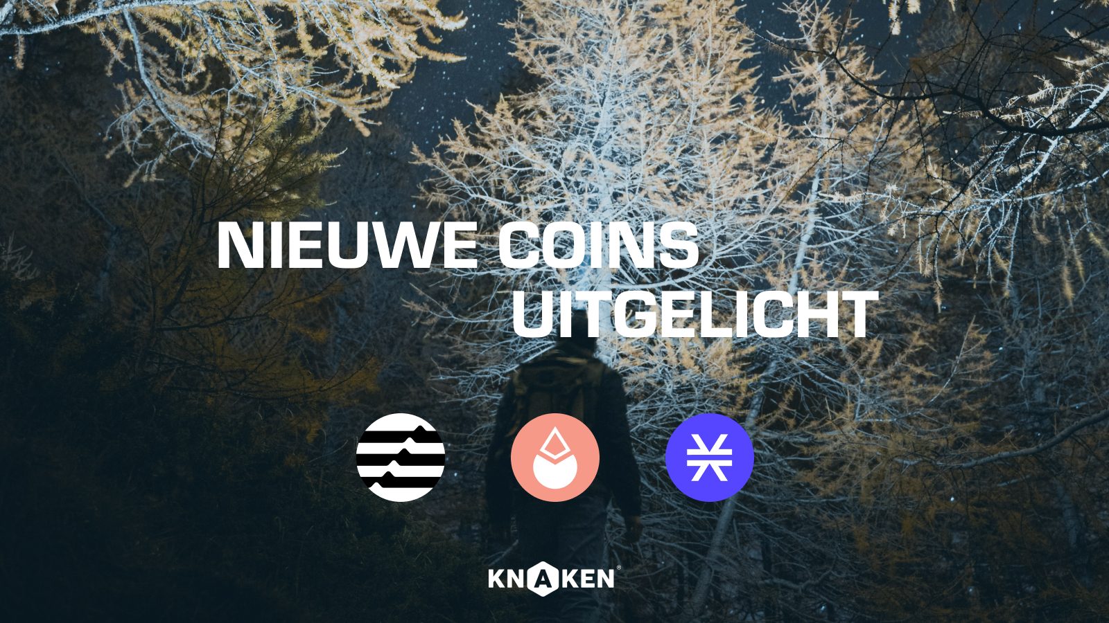 betalen met crypto